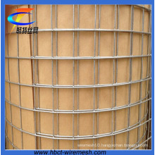 3/4*3/4′′ Hot DIP Galvanized Welded Wire Mesh (CT-4)